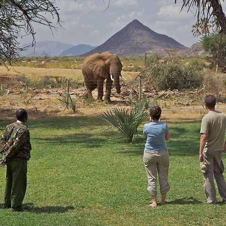 Hotel Ashnil Samburu Camp Zewnętrze zdjęcie