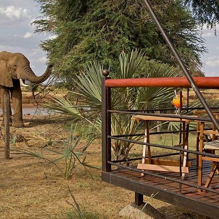 Hotel Ashnil Samburu Camp Zewnętrze zdjęcie