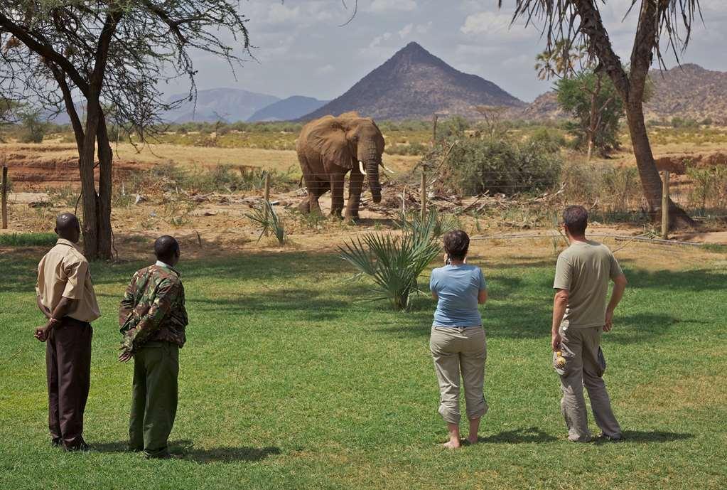 Hotel Ashnil Samburu Camp Zewnętrze zdjęcie