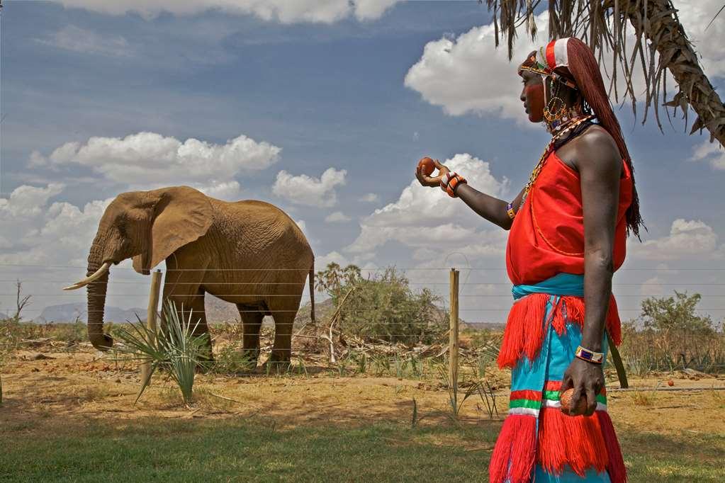 Hotel Ashnil Samburu Camp Udogodnienia zdjęcie