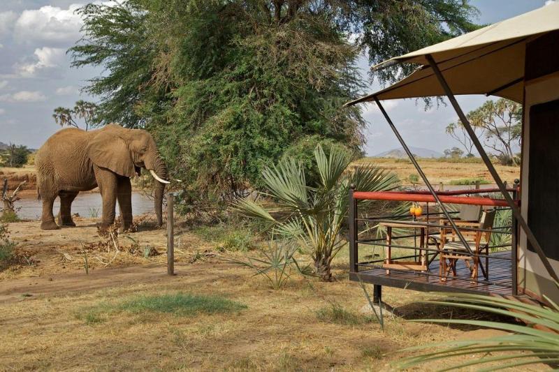 Hotel Ashnil Samburu Camp Zewnętrze zdjęcie