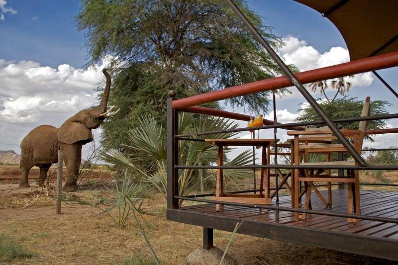 Hotel Ashnil Samburu Camp Zewnętrze zdjęcie