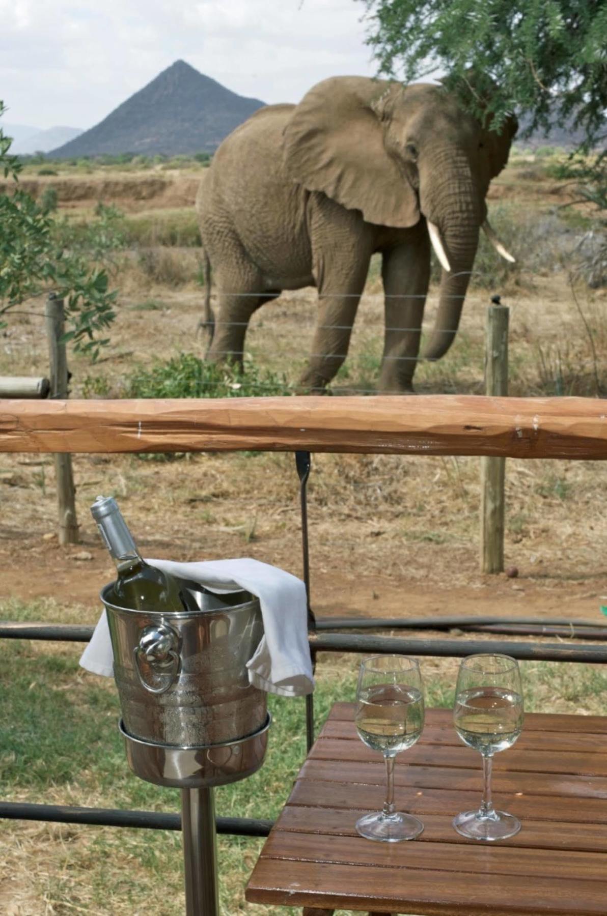 Hotel Ashnil Samburu Camp Zewnętrze zdjęcie