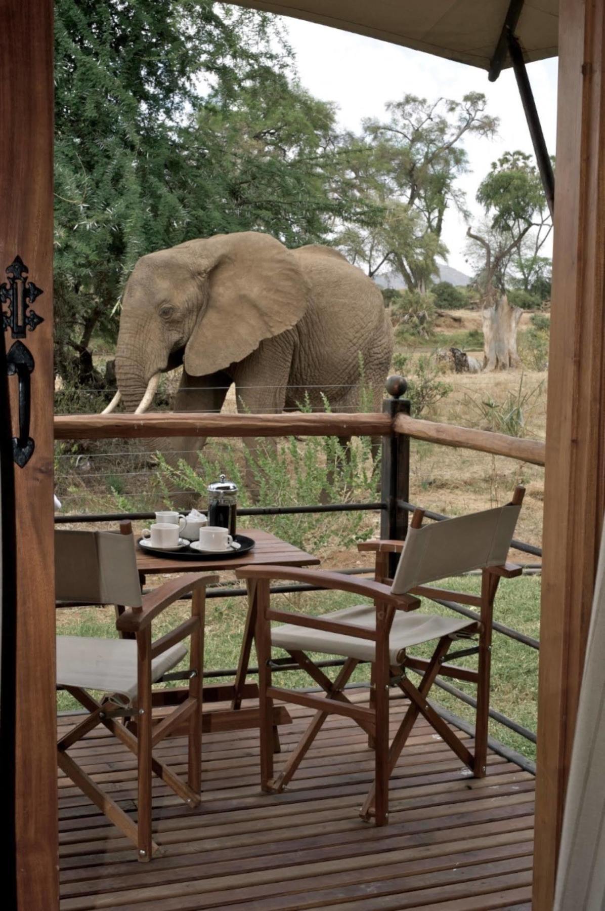 Hotel Ashnil Samburu Camp Zewnętrze zdjęcie