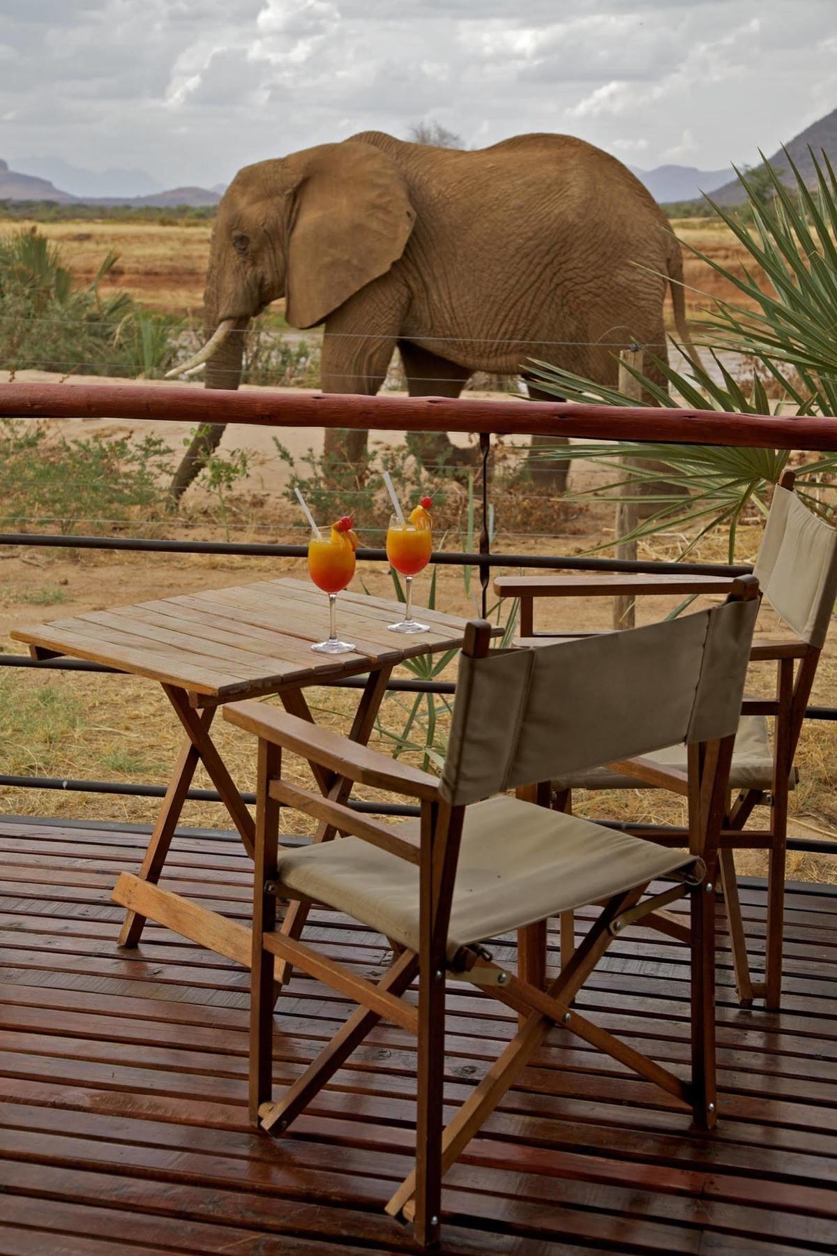 Hotel Ashnil Samburu Camp Zewnętrze zdjęcie