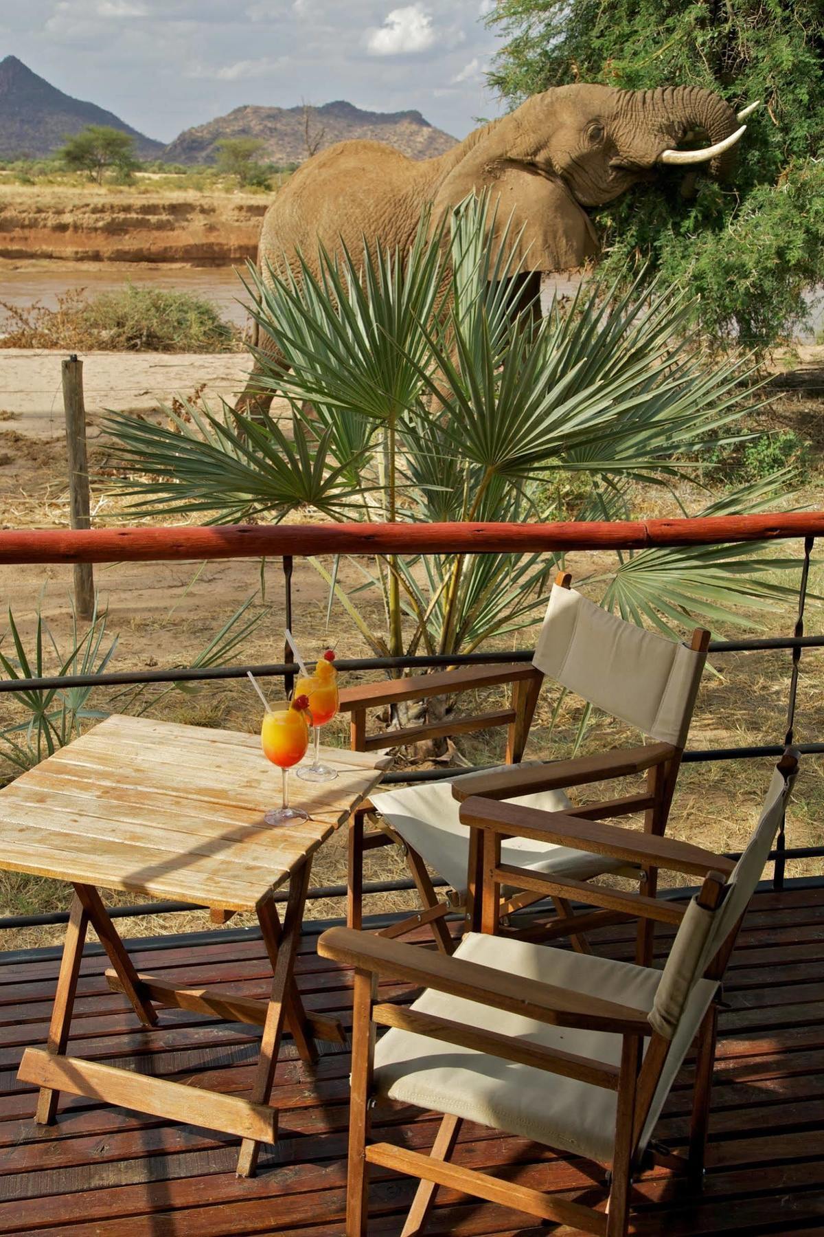 Hotel Ashnil Samburu Camp Zewnętrze zdjęcie