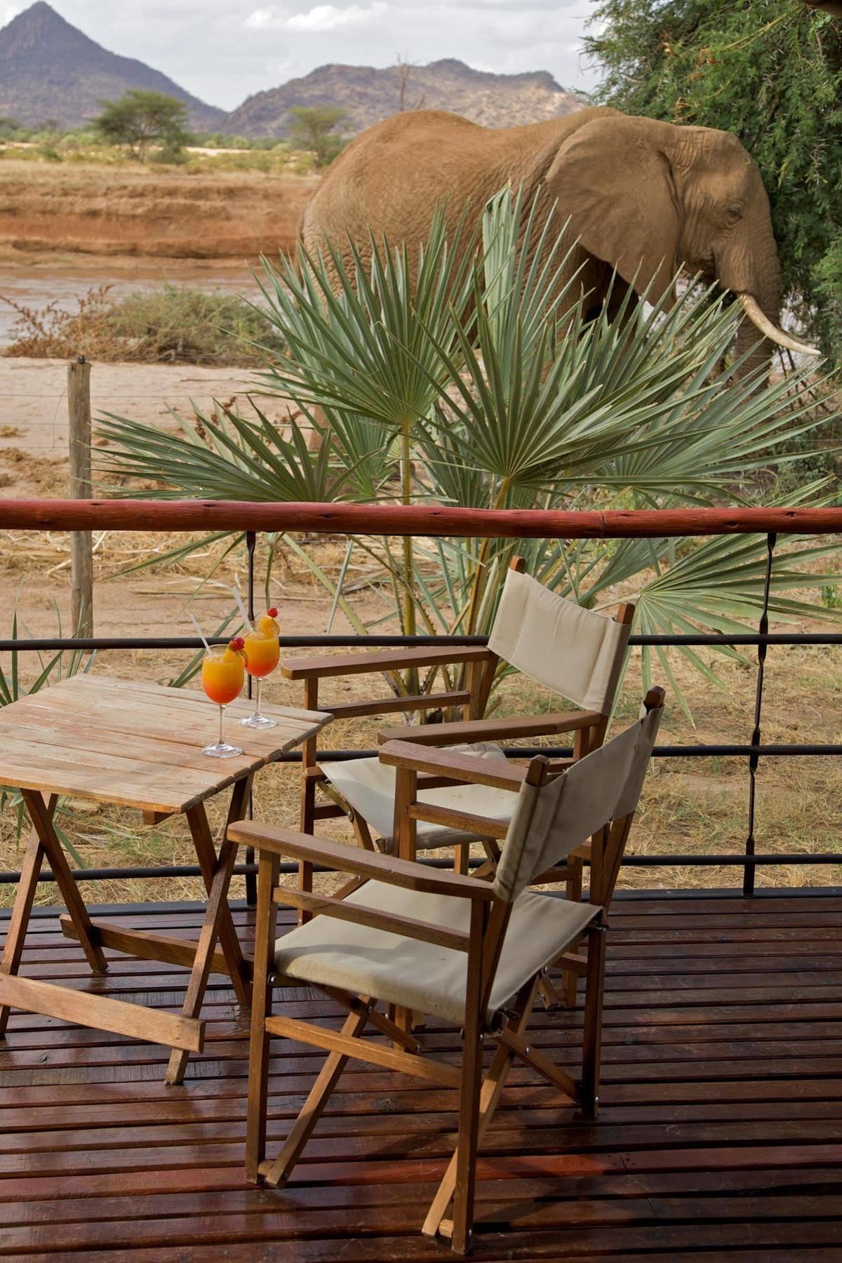 Hotel Ashnil Samburu Camp Zewnętrze zdjęcie